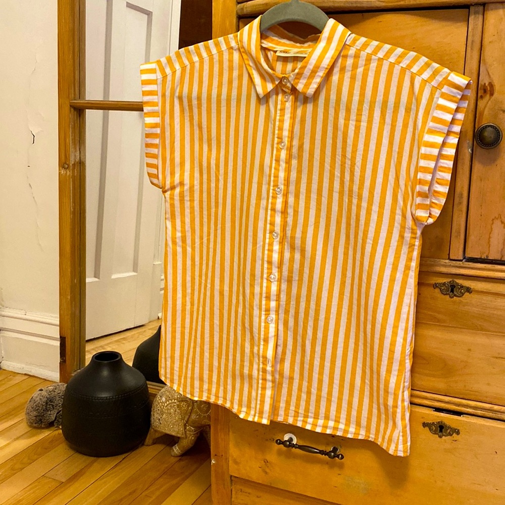 Button down shirt